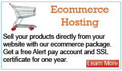 Ecommerce Hosting